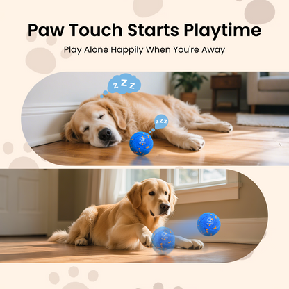Ollapet Smart Interactive Dog Toy Ball